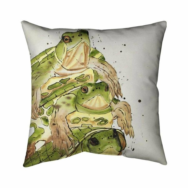 Fondo 20 x 20 in. Three Aquatic Turtles-Double Sided Print Indoor Pillow FO2774553